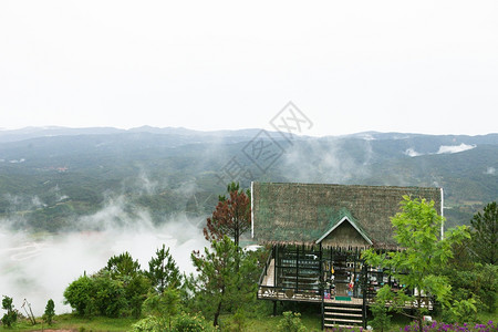 绿色城市松林高地达拉特城清晨在兰比昂雾背景