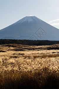 中午12点在日本山桥藤川口有干植物的藤田山自然景观图片