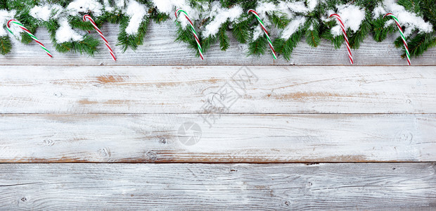 雪的顶端边界覆盖了圣诞长青树枝和白年木上的糖果甘蔗图片