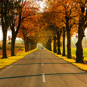 道路和美丽的秋天风景图片