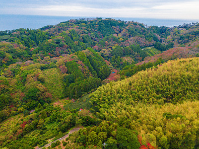 秋天红叶的空中景象日本山上的树木绿色农村地区或土自然景观背图片
