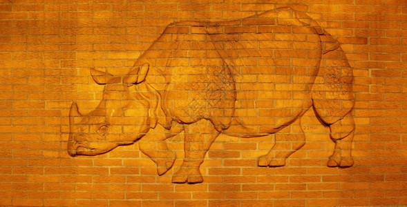 柏林动物园墙壁上的Rhinobas救济壁画艺术图片