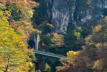 日本宫城东北有铁道隧的NarukoGorge峡谷图片