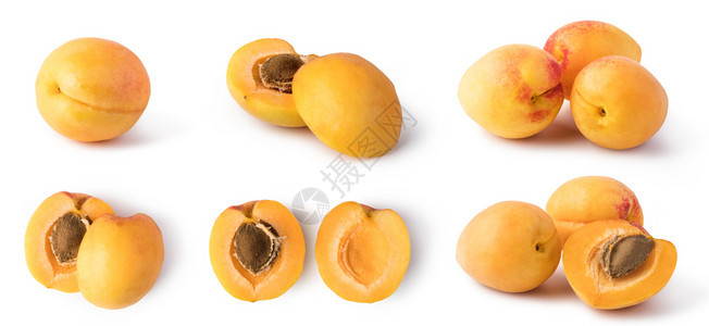 白背景上孤立的杏子水果图片