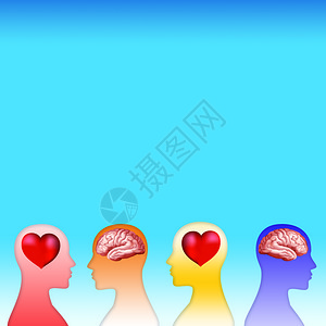 3D心脏和大脑概念与人头圆影图片