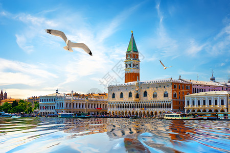 水形物语夏日在威尼斯的海鸥和圣马可广场背景