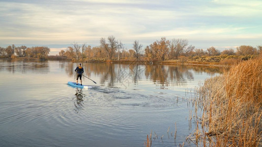 男球员在秋天晚的风景中在一个平静的湖上划起一个赛车站在桨板上图片