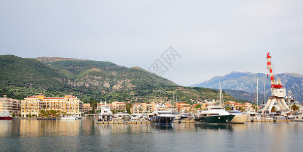 黑山蒂瓦特港全景图片