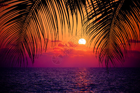 夏季热带背景海洋日落背景图片