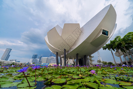 新加坡艺术科学博物馆和Bay地区新加坡下城市的莲花图片