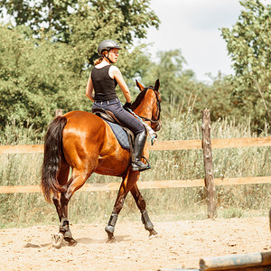 活跃的女骑马运动员培训马术比赛和活动骑马女运动员培训活图片