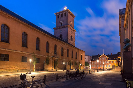 清晨蓝色时分丹麦首都哥本哈根圣母教堂和公家广场红花丹麦哥本哈根圣母教堂丹麦哥本哈根图片