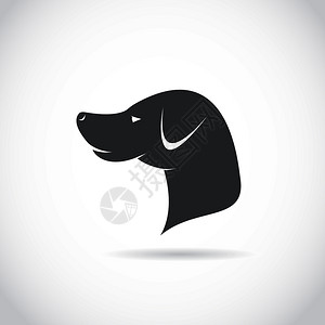 拉布拉多猎犬白色背景的狗头矢量图像插画
