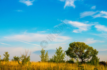 夏月风景青草云图片