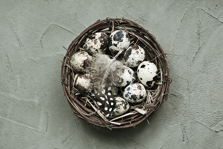 鸟巢和桌上的生蛋图片