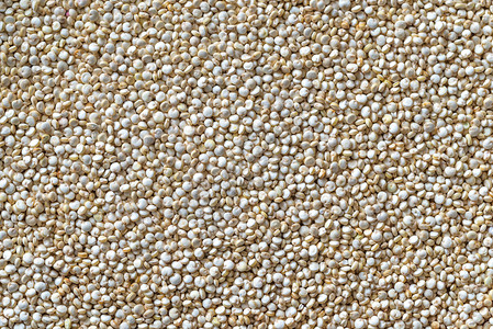 Quinoa顶部视图图片
