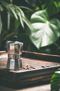 咖啡和热带叶背景的咖啡壶和杯热带叶背景关闭图片