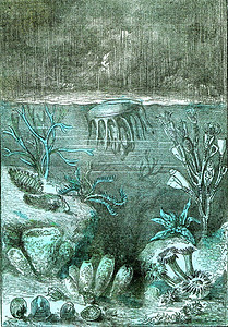Silurian时期开始对陆地和海洋的理想展望图片