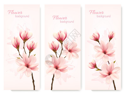 粉红色木兰花矢量贺卡背景图片