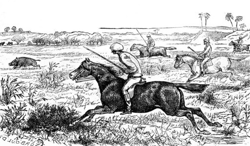 GallopVintage刻有的插图邮报旅行日180年图片