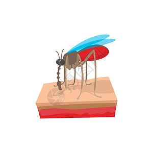 白色背景的皮肤卡通图标上的蚊子皮肤卡通图标上的蚊子图片