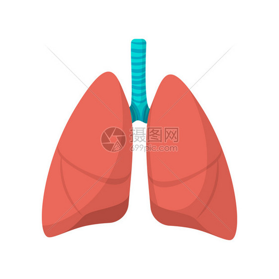 白色背景的人类肺动画图标人类肺动画图标图片