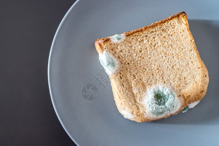 烤面包片上有绿色点菜图片
