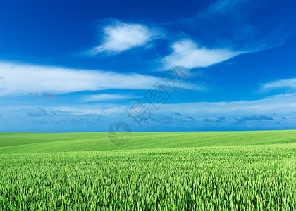 蓝天绿地绿地和蓝天空背景