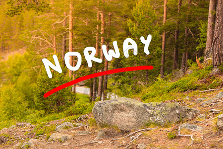 挪威自然绿林图片