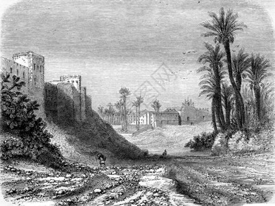 Rambla修道院Elche185年MagasinPittoresque图片