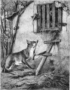 1857年的绘画展览狐狸与葡萄1857年的马加辛皮托雷斯克图片