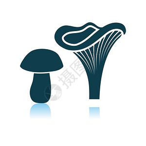 灰色背景上的蘑菇图标阴影反射设计矢量说明图片