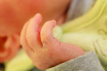 儿童婴护理育身体细节概念小新生婴儿手贴高清图片