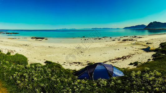 夏季Gimsoysand沙滩上的蓝帐篷在海岸露营挪威洛福滕群岛假日和旅行挪威洛福滕岛海滩帐篷挪威洛福滕岛图片