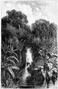 CanalSapote世界之旅行日报1865年图片