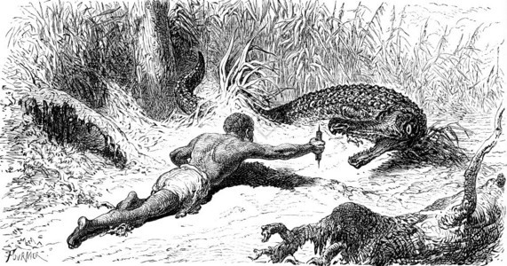 狩猎鳄鱼雕刻的老式插图环球旅行杂志1872年图片