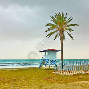 低季节有棕榈树海滩和救生塔塞浦路斯拉纳卡图片