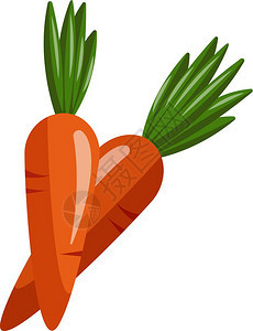 两块橙色胡萝卜上面各加绿色叶子矢量彩色图画或插图片