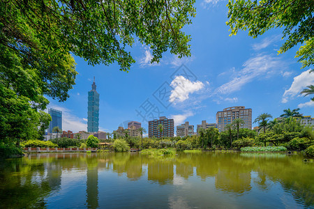 台北公园花和摩天大楼的反射图片