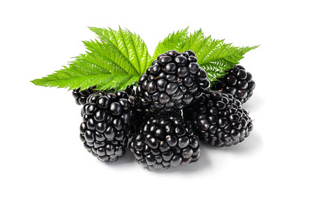 新鲜黑莓的近镜头白色背景的孤立图片