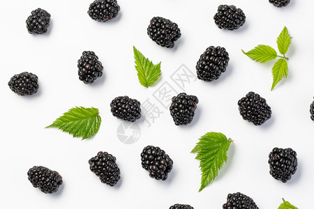黑莓和在白背景上保持顶部视图图片