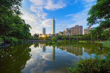 台北公园花和摩天大楼的反射图片