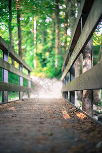 森林中的木桥模糊背景图片