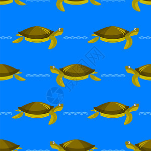 蓝背景孤立的无海龟模式洋图形简单动物纹理海龟无模式洋图形简单动物纹理图片