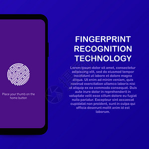 智能手机上数字指纹识别的和着陆页设计图片