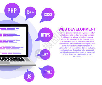 编程网络开发概念笔记本电脑屏幕代码矢量库存图解图片