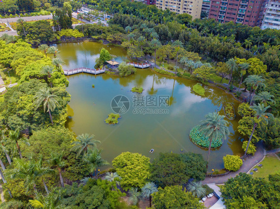 台北公园花树木的空中景象和摩天大楼的反射图片