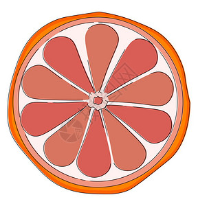 切水果有橙皮和粉红色纸浆向量彩色图画或插的半切葡萄精插画