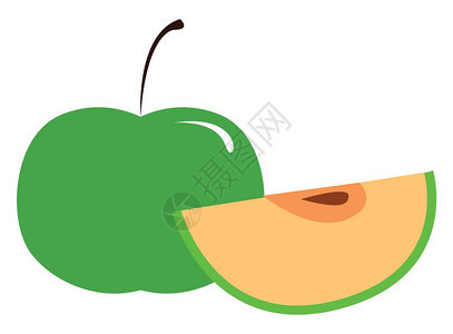 绿色苹果有干一片有种子矢量彩色绘画或插图图片