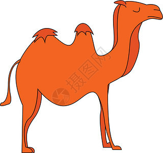 卡通可爱矢量骆驼图片